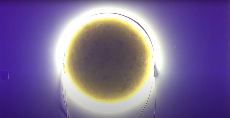 3by3by3, 3 by 3 by 3